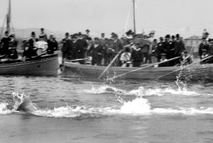 Una delle gare alle I Olimpiadi di Atene 1896 (olympic.org)